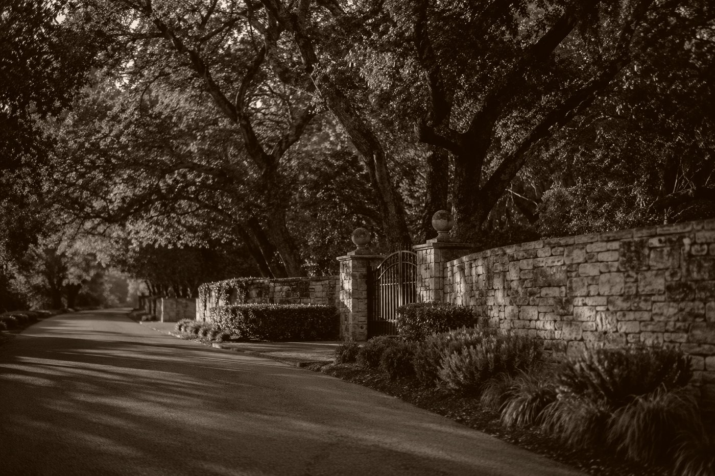 A quiet lane behind a low stone wall under valley oaks in Atherton