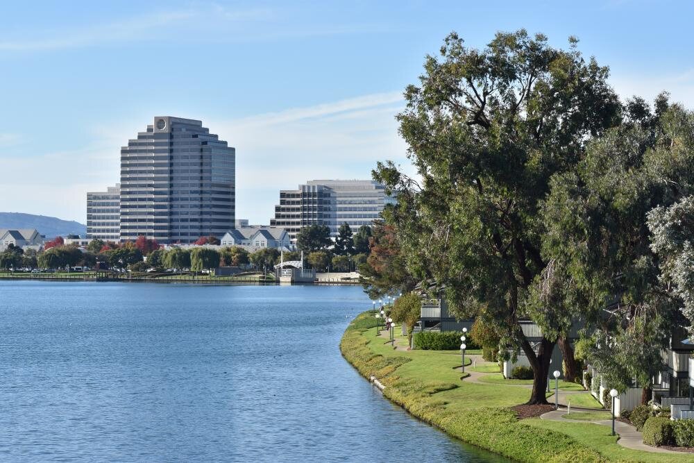 A Foster City lagoon with a waterfront path and office towers beyond