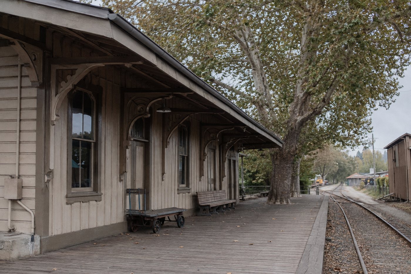 The old wooden depot under a spreading sycamore in Menlo Park